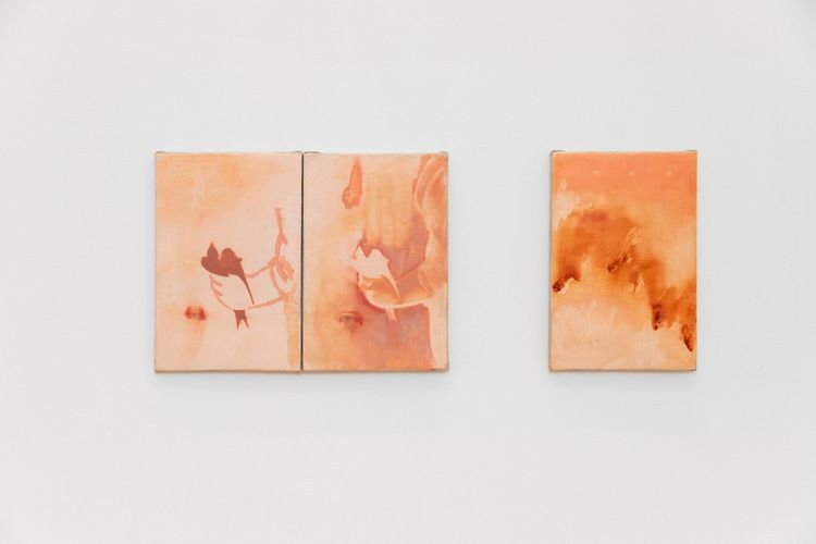 Installation view, Asistente de Morfeo, 81 Leonard Gallery · 2026 (2)