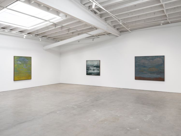 Installation view, Apple, Karma Gallery · 2026 (2)