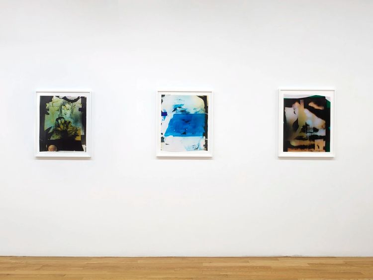 Installation view, FLW, David Peter Francis · 2026 (6)