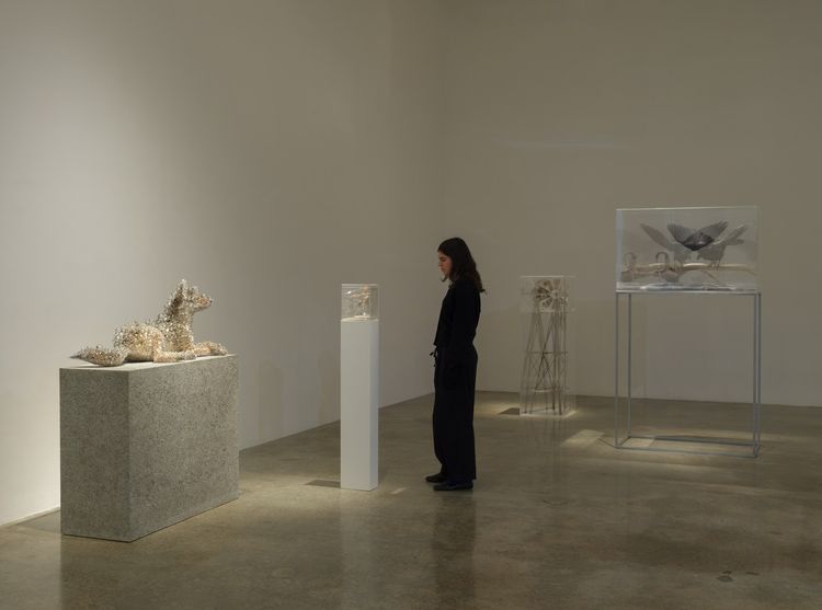 Installation view, Photon Camp, Pace · 2026 (1)