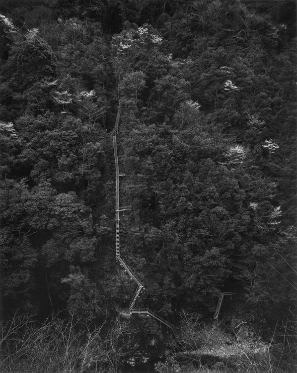 Installation view, Toshio Shibata: Concrete Poetry, Gallery Luisotti · 2026 (4)
