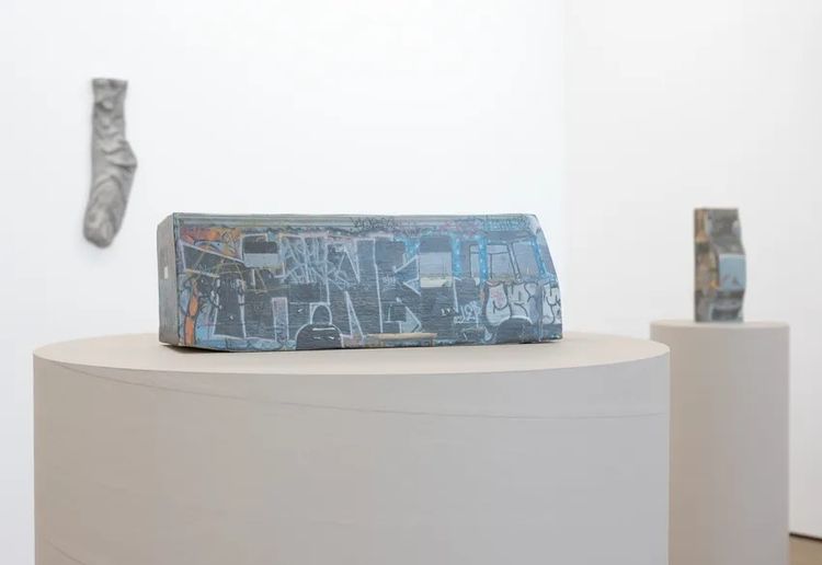 Installation view, Desert Lenses, Wilding Cran Gallery 路 2026 (2)