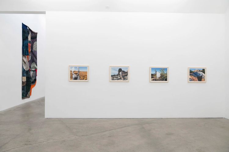 Installation view, The Treasure of the Sierra Madre, Et al. etc. · 2026 (4)