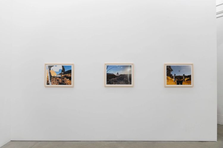 Installation view, The Treasure of the Sierra Madre, Et al. etc. · 2026 (2)