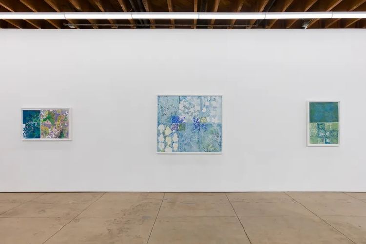 Installation view, Arrábida, Wilding Cran Gallery · 2026 (2)