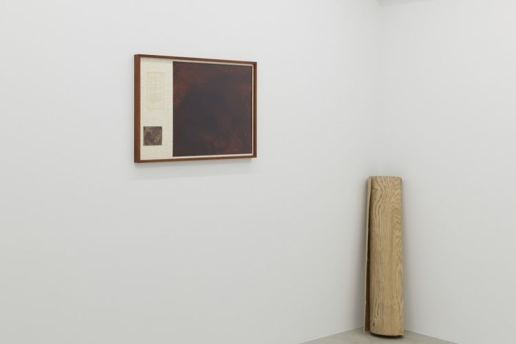 Installation view, Nerhol: Unseen Body, Yutaka Kikutake Gallery · 2026 (7)