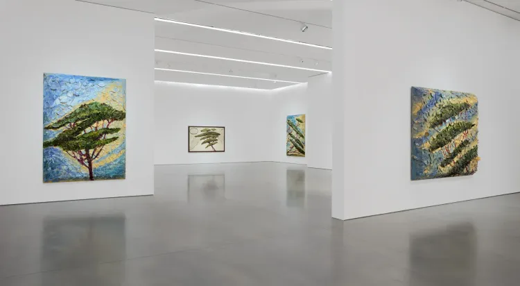 Installation view, Italy Through Its Trees, Pace · 2026 (4)