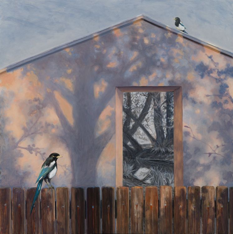 Installation view, Sharon Feder, Billis Williams Gallery