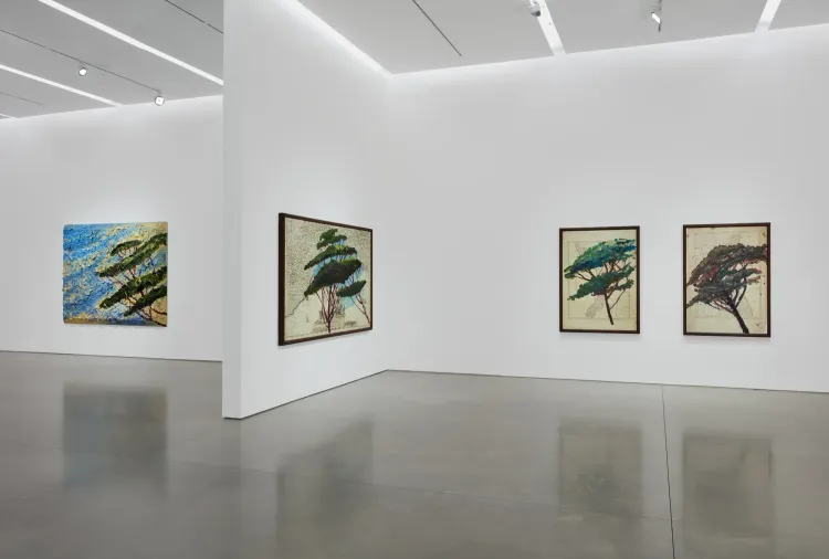 Installation view, Italy Through Its Trees, Pace · 2026 (3)