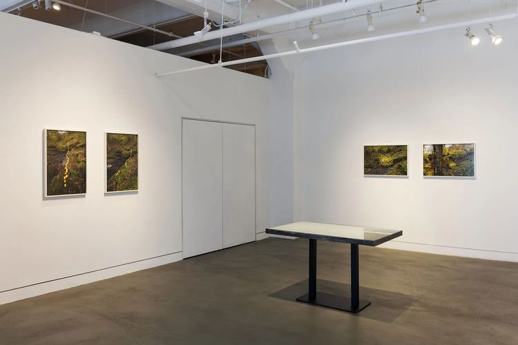 Installation view, Andy Goldsworthy: For Olle, Haines Gallery · 2026 (4)