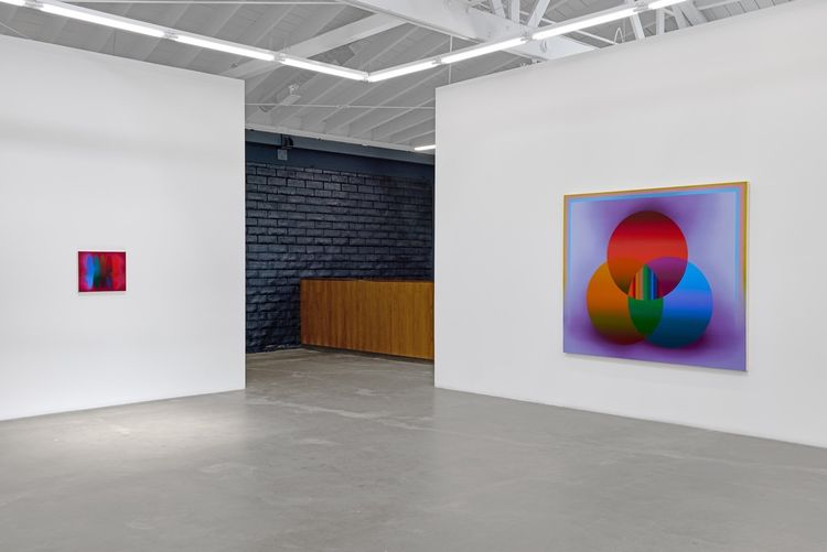 Installation view, Flags, Luis De Jesus Los Angeles · 2026 (3)