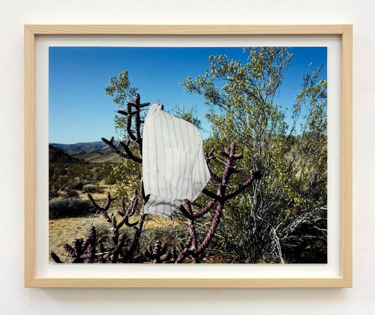Installation view, The Treasure of the Sierra Madre, Et al. etc. · 2026 (27)
