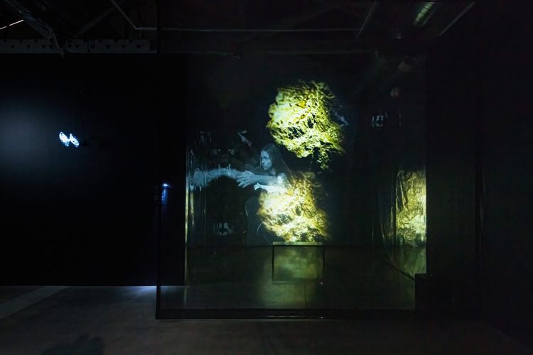 Installation view, Miguel Novelo: INFRAMUNDO, ICA San José · 2026 (6)