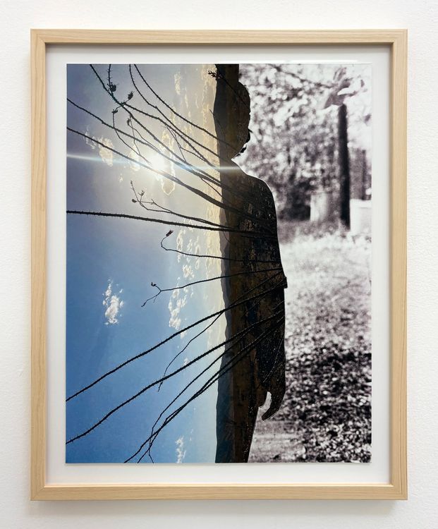 Installation view, The Treasure of the Sierra Madre, Et al. etc. · 2026 (35)