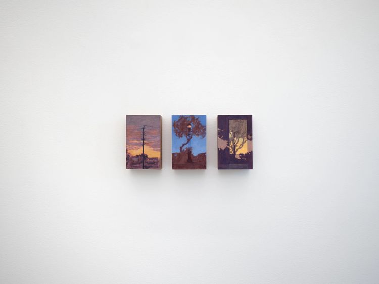 Installation view, Slow Burn, Megan Mulrooney · 2026 (12)