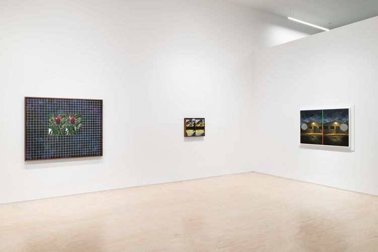 Installation view, Binocular Rivalry, Jessica Silverman · 2026 (3)
