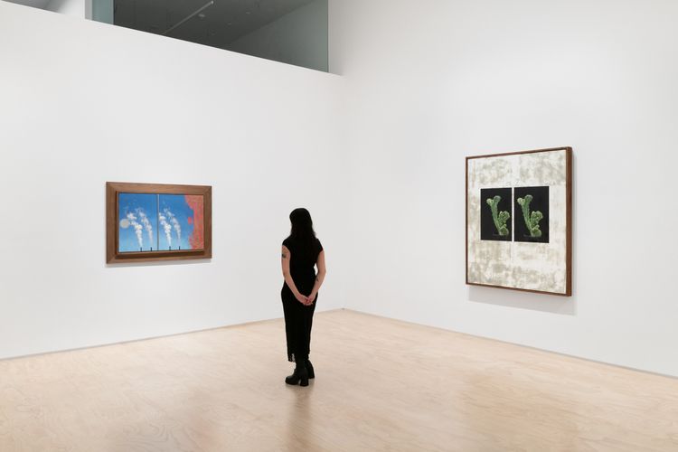 Installation view, Binocular Rivalry, Jessica Silverman · 2026 (2)
