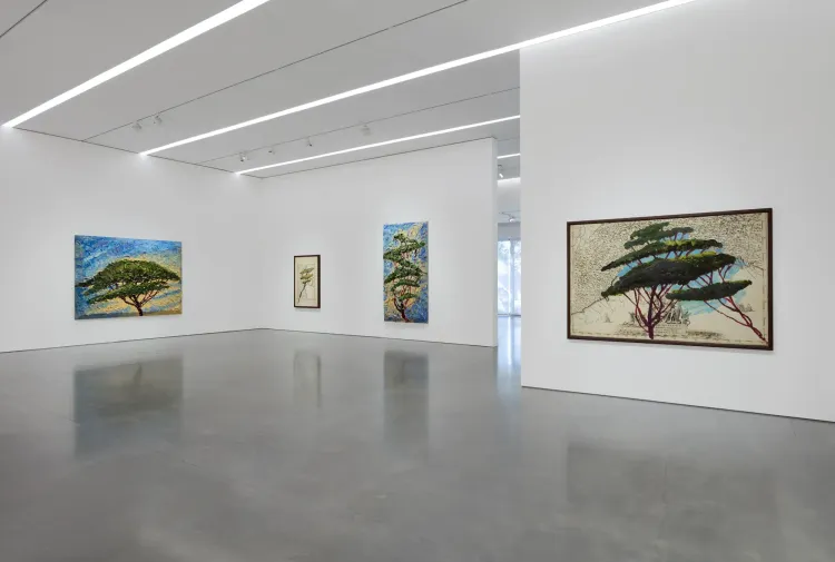 Installation view, Italy Through Its Trees, Pace · 2026 (6)