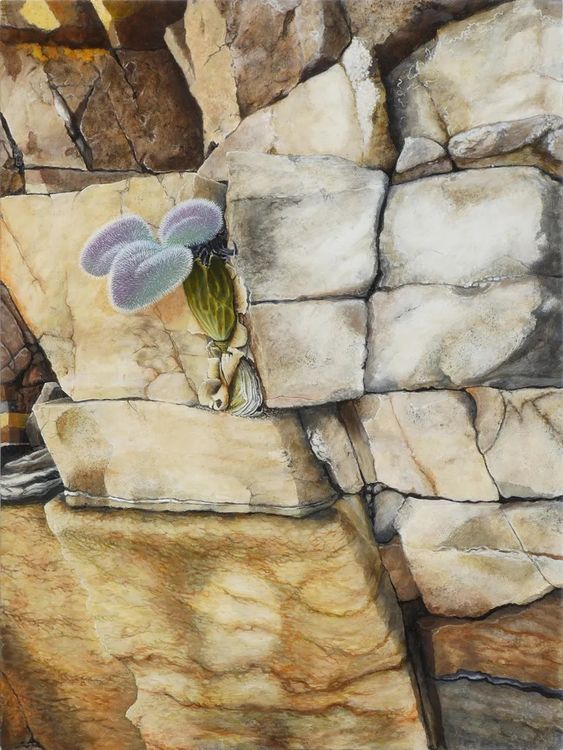 Installation view, Nature of Painting, Hosfelt Gallery · 2026 (18)