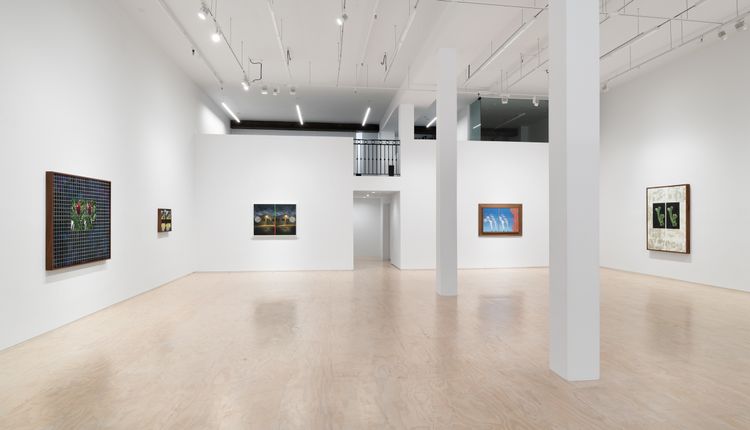 Installation view, Binocular Rivalry, Jessica Silverman · 2026 (4)