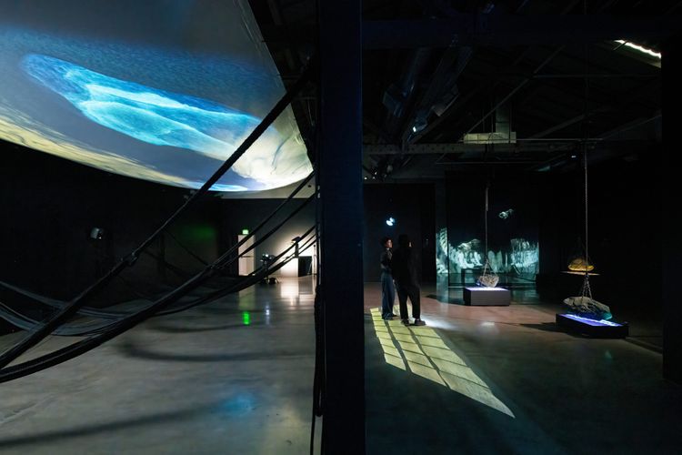 Installation view, Miguel Novelo: INFRAMUNDO, ICA San José · 2026 (9)