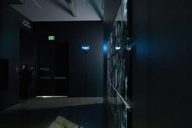 Installation view, Miguel Novelo: INFRAMUNDO, ICA San José · 2026 (2)