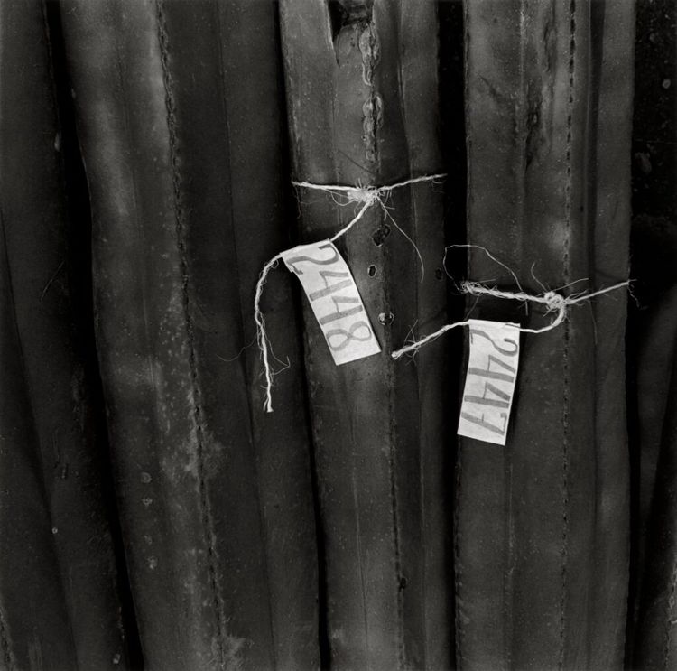 Installation view, Between Two Worlds, San Francisco Museum of Modern Art · 2026 (5)
