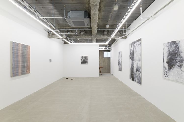 Installation view, Nerhol: Unseen Body, Yutaka Kikutake Gallery