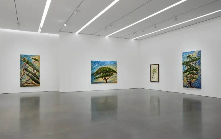 Installation view, Italy Through Its Trees, Pace · 2026 (10)