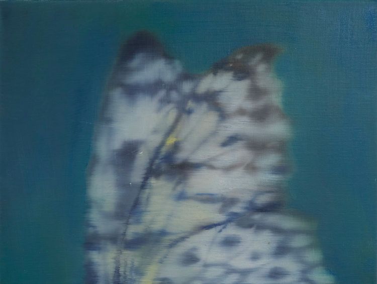 Installation view, Imago, Soho Revue · 2025 (9)