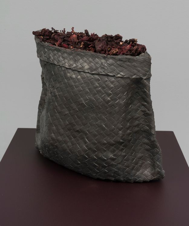 Installation view, Blood of the Earth, The Art Institute of Chicago · 2026 (3)