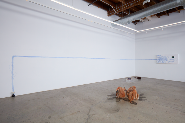 Installation view, Horse to Water, Murmurs Gallery · 2026 (1)