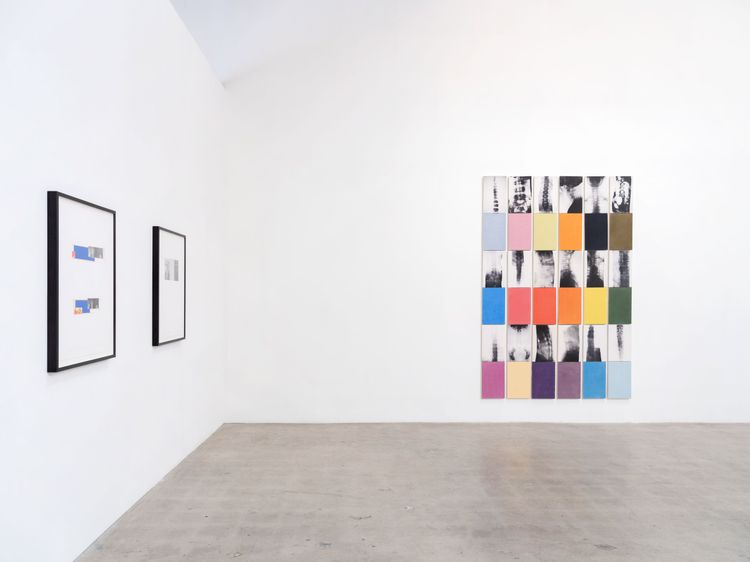 Installation view, x-ray island, Moskowitz Bayse · 2026 (2)