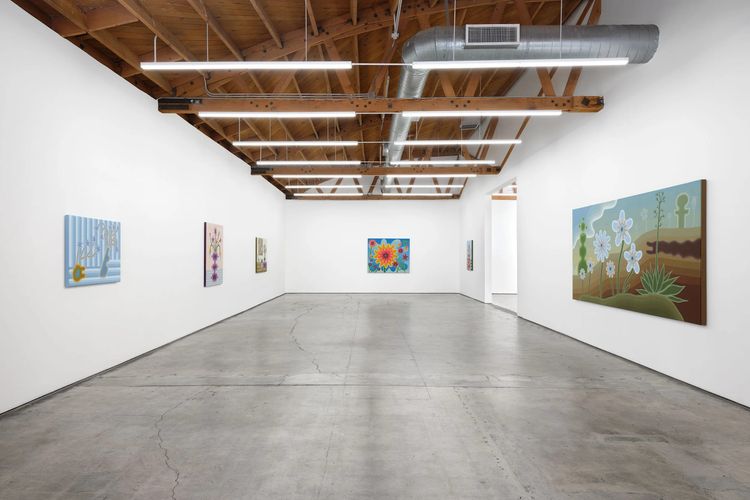 Installation view, Taut, Megan Mulrooney · 2026 (11)