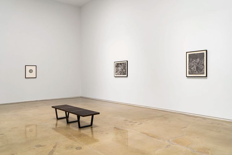 Installation view, Inkblot & Felt Tip Pen Drawings, Michael Kohn Gallery · 2026 (3)