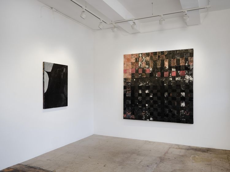 Installation view, Receptors, Kiang Malingue · 2026 (1)