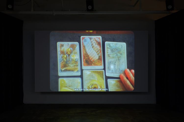 Installation view, The Goal of Our Health, Joan · 2025 (5)