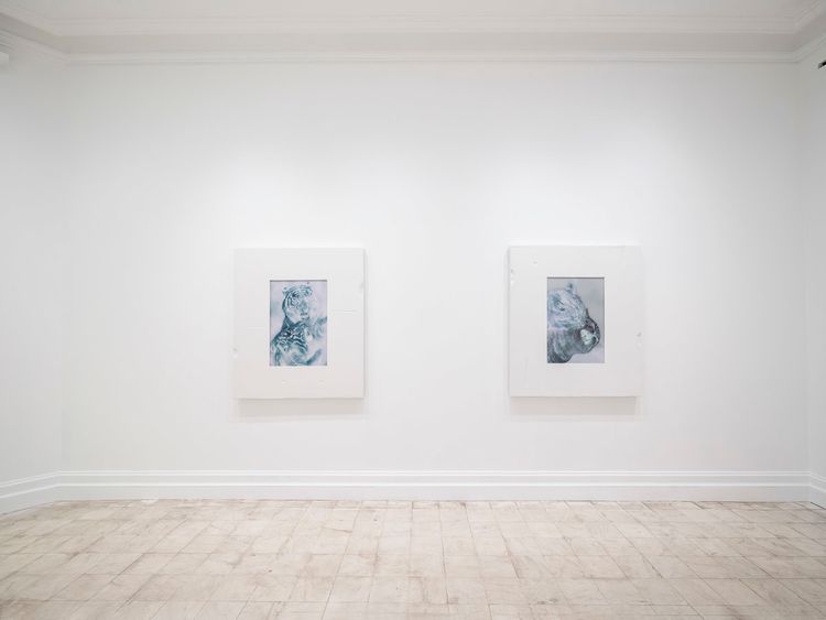 Installation view, Beast in Both Palms, Gladstone Gallery, 130 E 64th Street · 2026 (2)