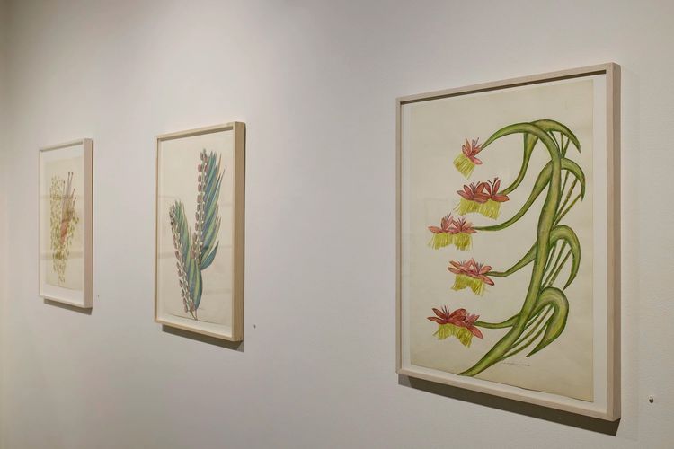 Installation view, Collaging the Visionary, Cavin Morris · 2026 (6)
