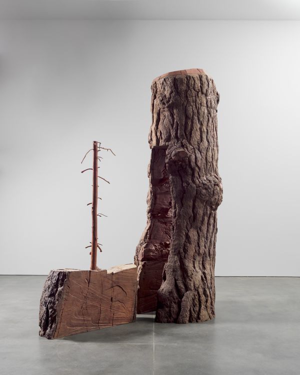 Installation view, The Reflection of Bronze, Gagosian, 555 24th Street · 2026 (9)