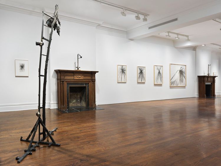 Installation view, Atropa, Sprüth Magers, New York · 2026 (2)