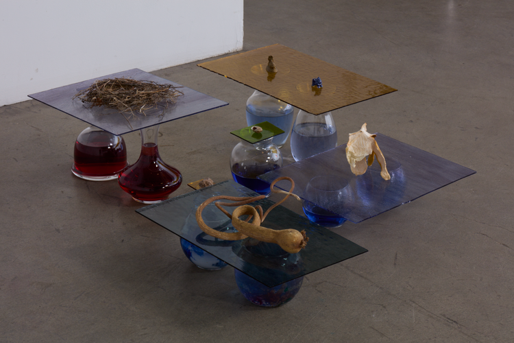 Installation view, Horse to Water, Murmurs Gallery · 2026 (7)