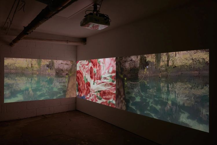 Installation view, Oh, it’s my ass and my anus, Parent Company · 2025 (9)