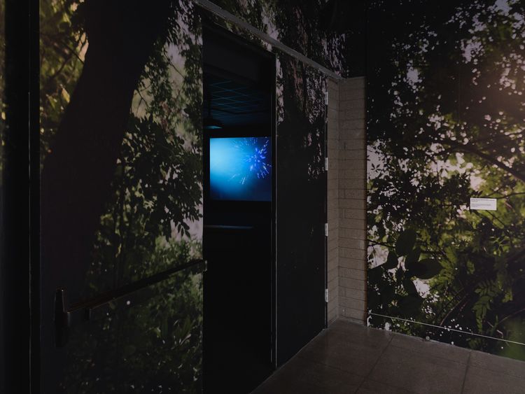 Installation view, Sometimes I Feel Like I Am Almost Home, California African American Museum · 2025 (8)