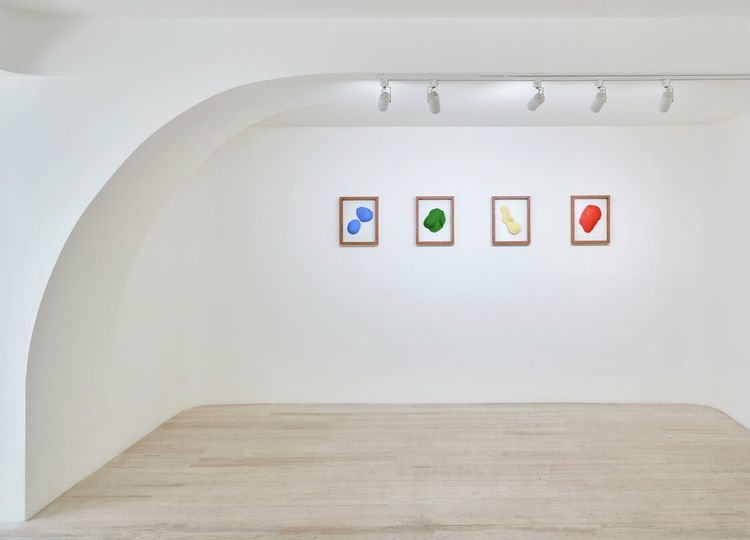 Installation view, Sarsabzi سرسبزی, Hannah Traore Gallery · 2025 (2)