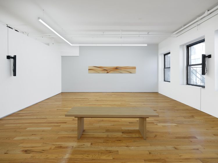 Installation view, Memory Root, Island Gallery · 2025 (7)
