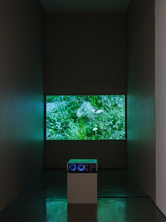 Installation view, Keep Movin’, Regen Projects · 2026 (4)