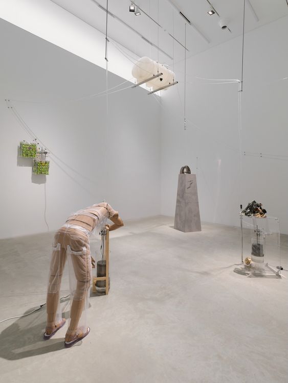 Installation view, Puddles into Pond, Amant · 2026 (2)