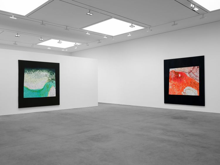 Installation view, The Fruit Basket, David Zwirner · 2026 (8)