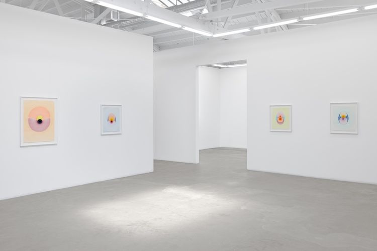 Installation view, The Drops, Luis De Jesus Los Angeles · 2026 (15)